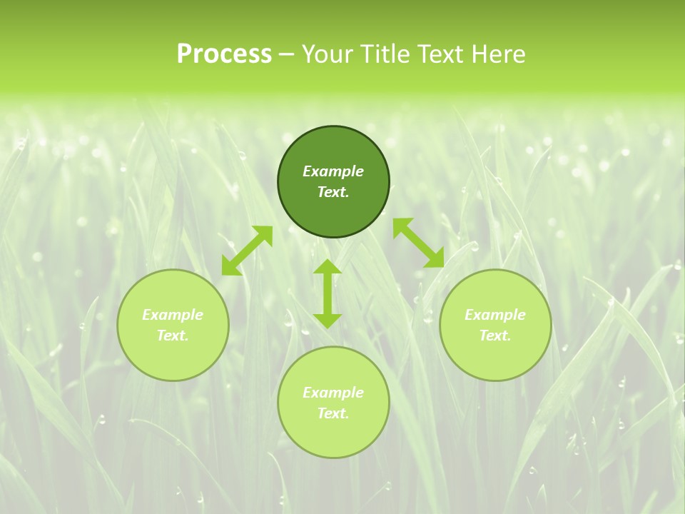 Season Contrast Moist PowerPoint Template