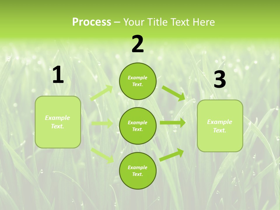 Season Contrast Moist PowerPoint Template