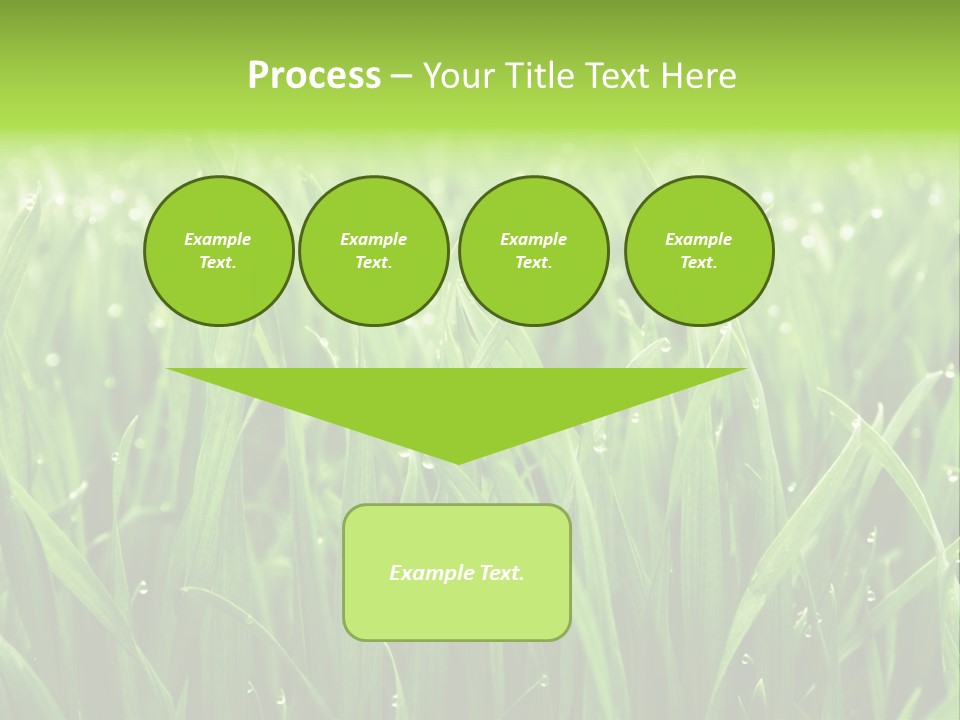 Season Contrast Moist PowerPoint Template
