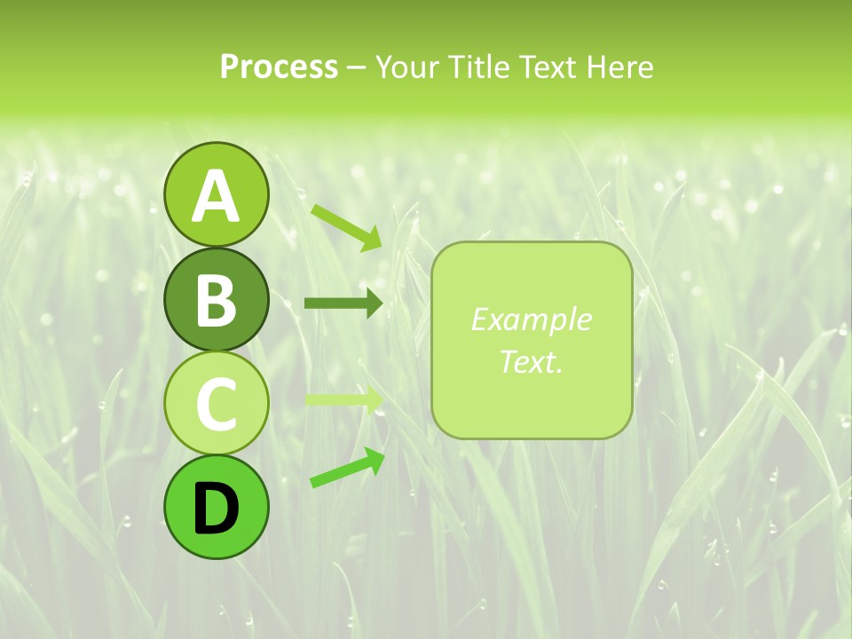 Season Contrast Moist PowerPoint Template