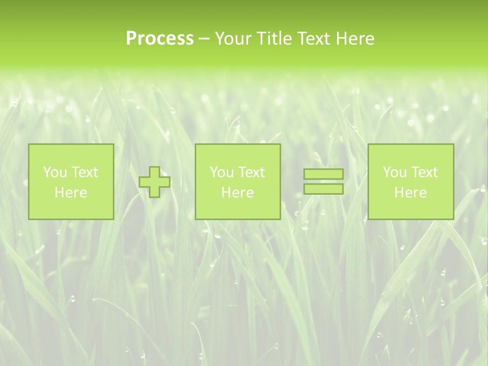 Season Contrast Moist PowerPoint Template