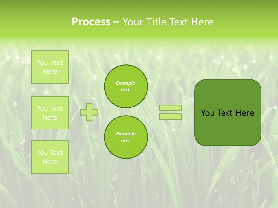 Season Contrast Moist PowerPoint Template