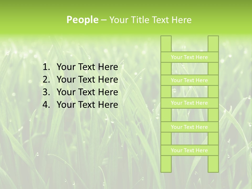 Season Contrast Moist PowerPoint Template