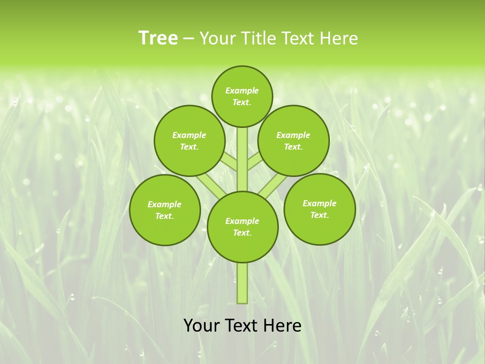 Season Contrast Moist PowerPoint Template