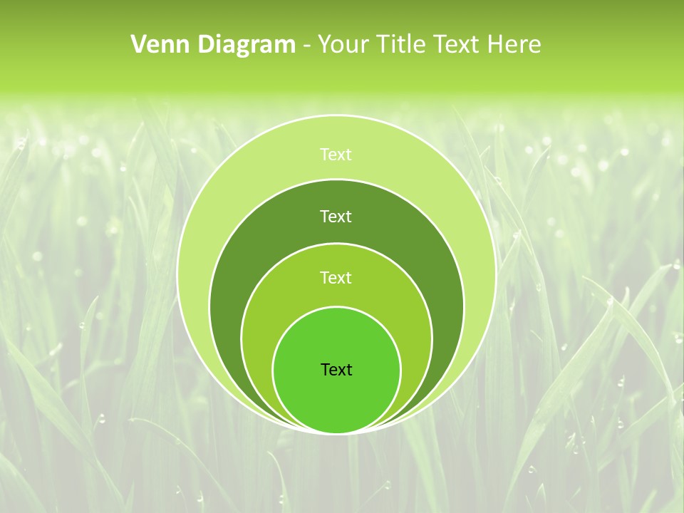 Season Contrast Moist PowerPoint Template