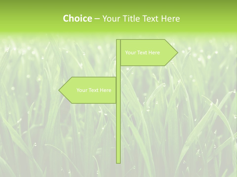 Season Contrast Moist PowerPoint Template