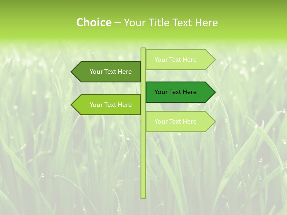 Season Contrast Moist PowerPoint Template