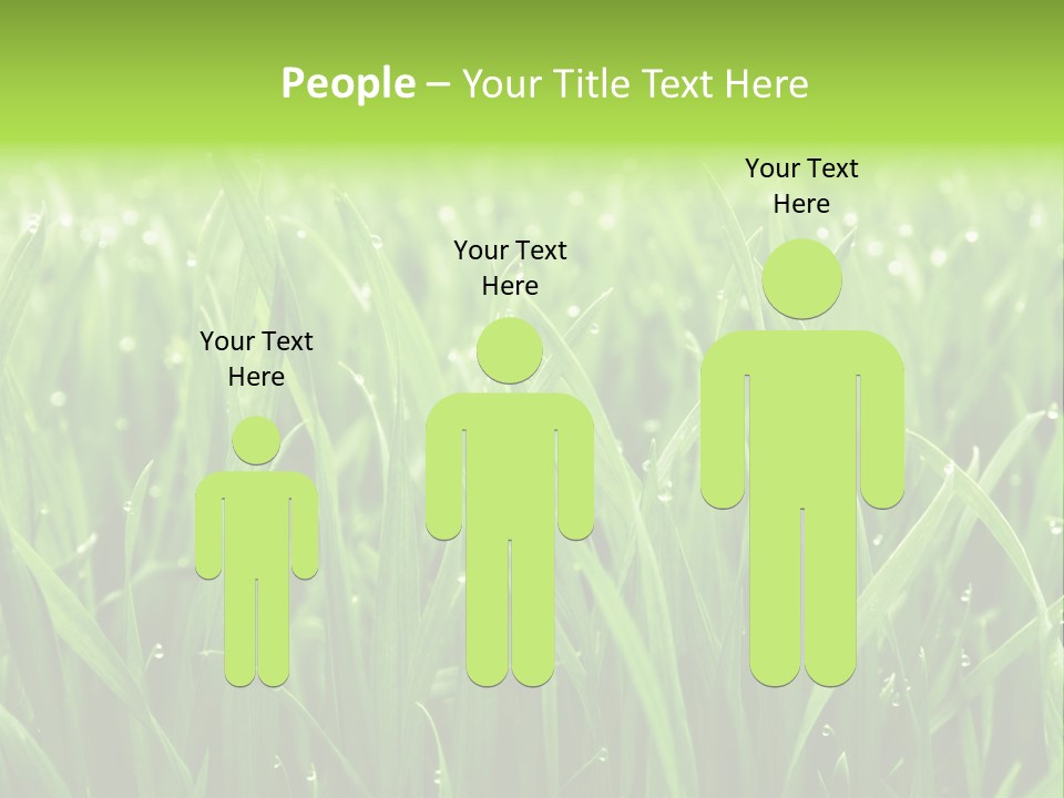 Season Contrast Moist PowerPoint Template