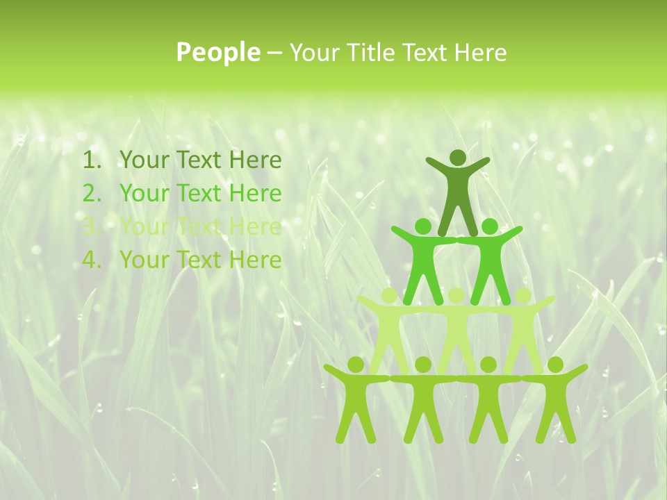 Season Contrast Moist PowerPoint Template