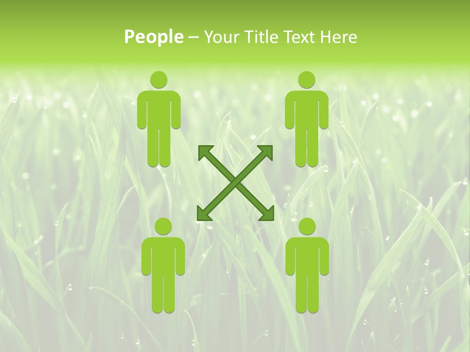 Season Contrast Moist PowerPoint Template