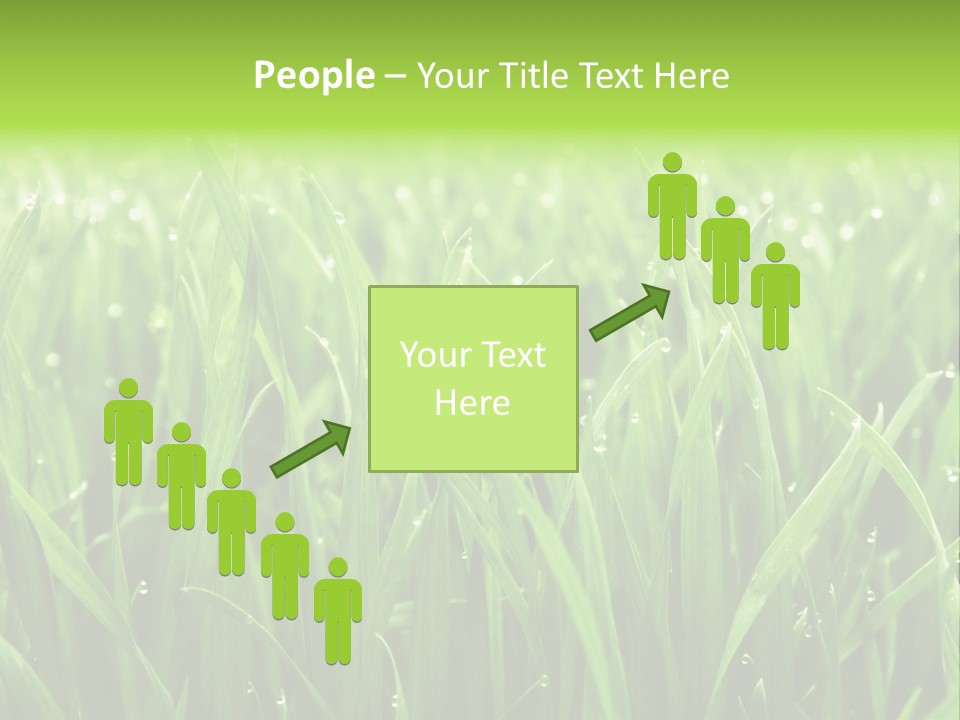 Season Contrast Moist PowerPoint Template