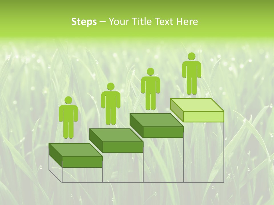 Season Contrast Moist PowerPoint Template