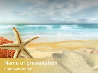 Exotic Shells Paradise PowerPoint Template