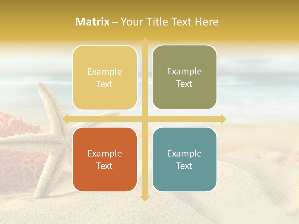 Exotic Shells Paradise PowerPoint Template