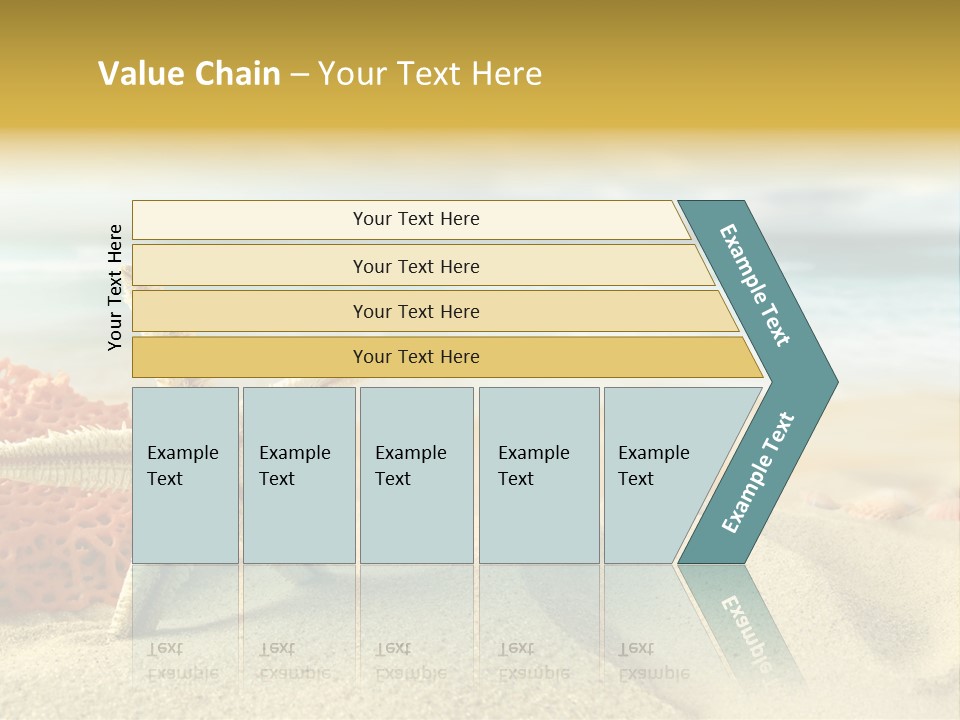 Exotic Shells Paradise PowerPoint Template