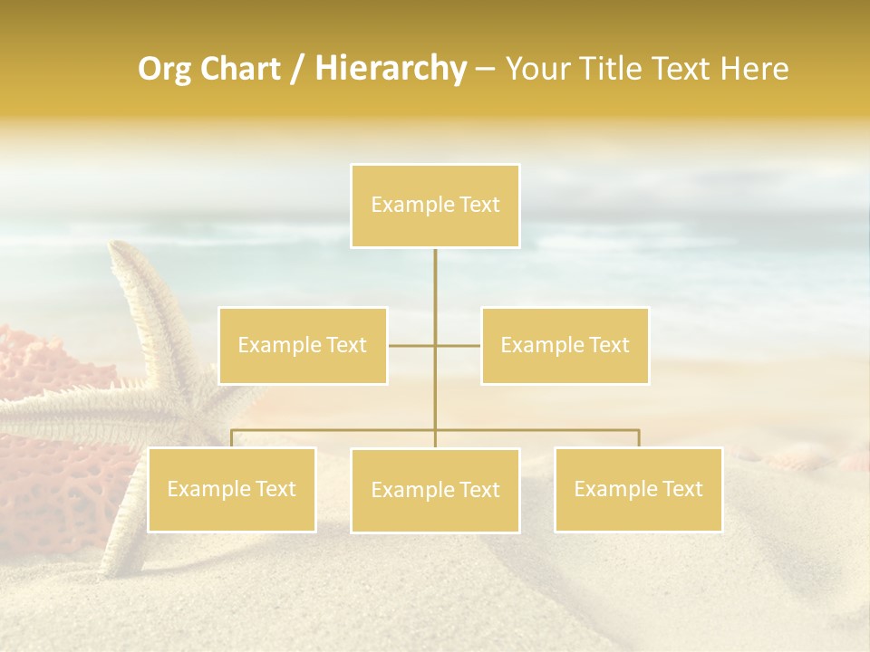 Exotic Shells Paradise PowerPoint Template