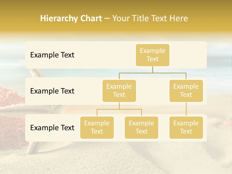 Exotic Shells Paradise PowerPoint Template