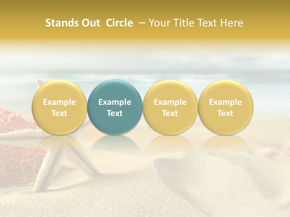 Exotic Shells Paradise PowerPoint Template