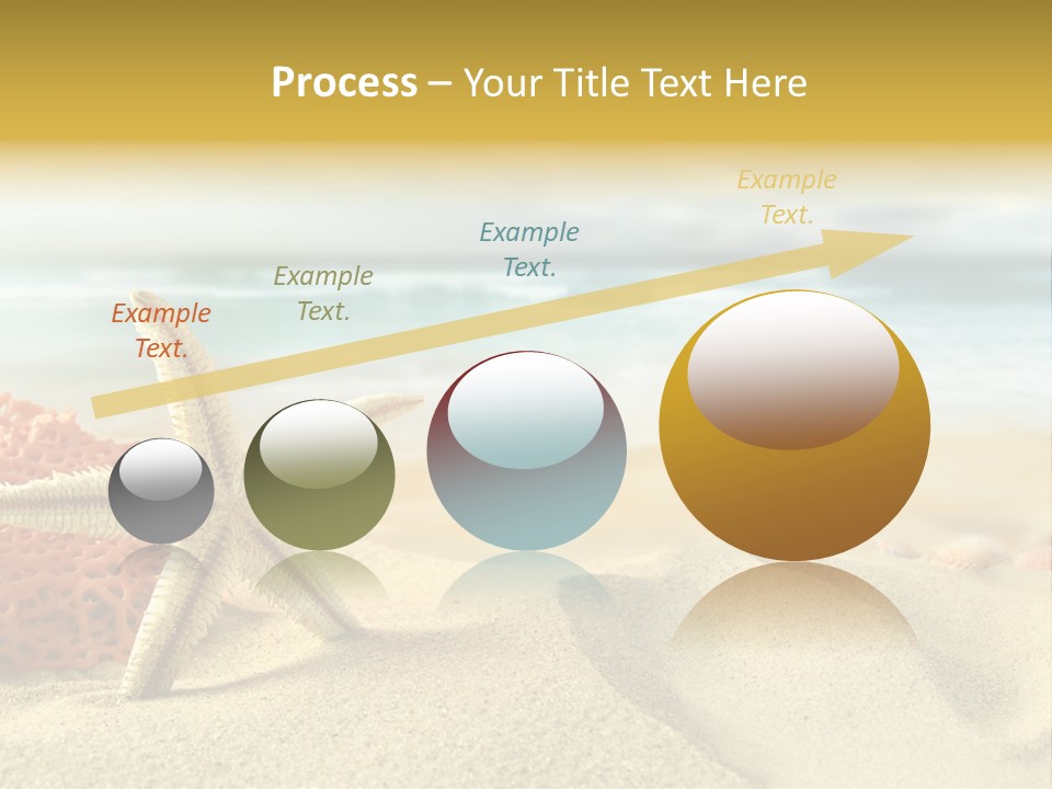 Exotic Shells Paradise PowerPoint Template