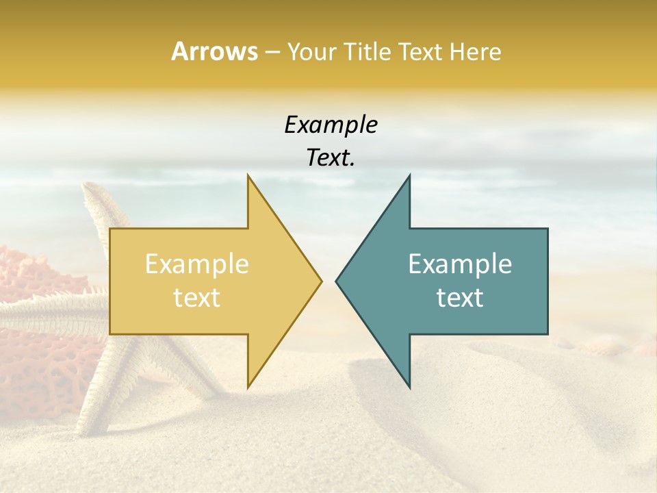 Exotic Shells Paradise PowerPoint Template