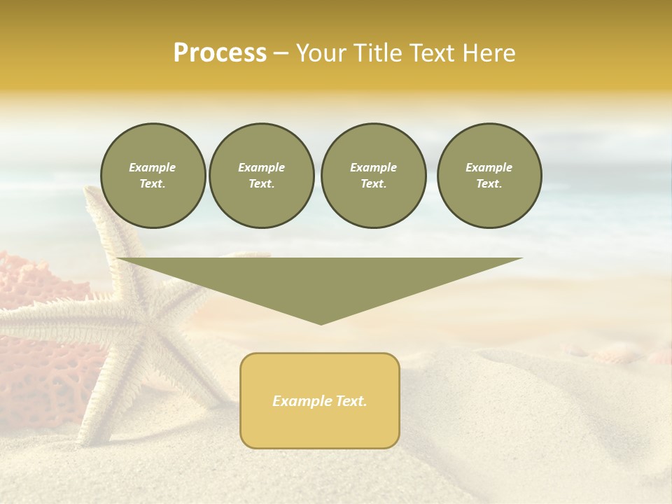 Exotic Shells Paradise PowerPoint Template