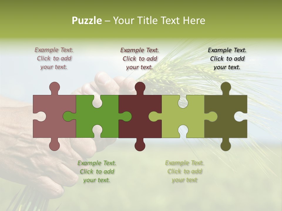 Food Keep Summer PowerPoint Template