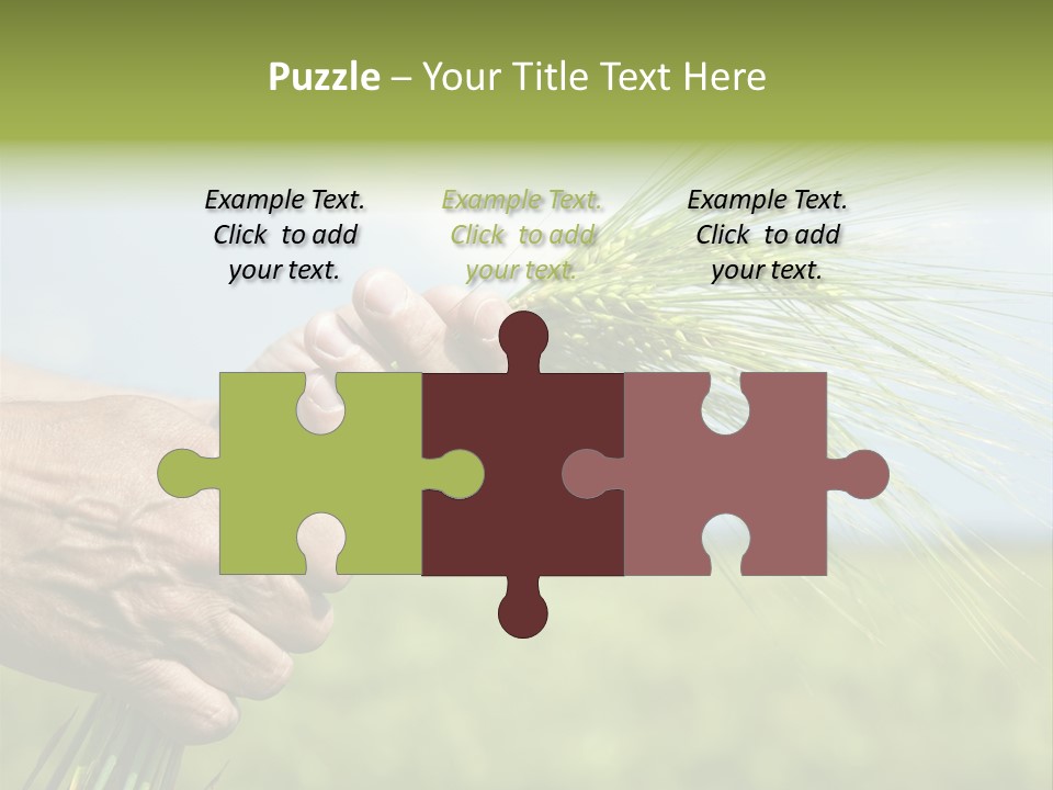 Food Keep Summer PowerPoint Template