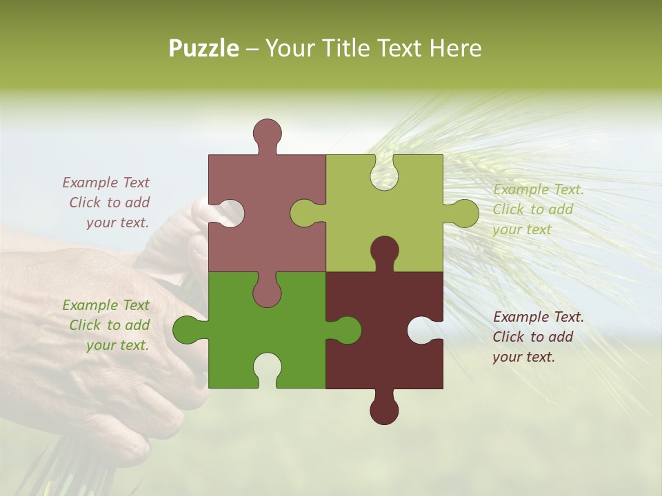 Food Keep Summer PowerPoint Template