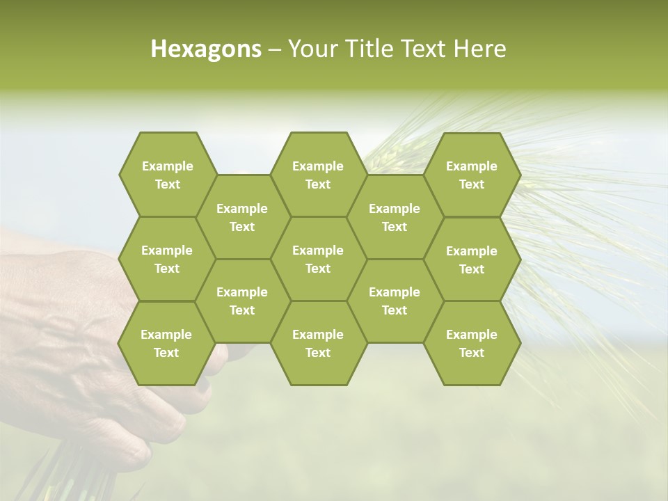 Food Keep Summer PowerPoint Template