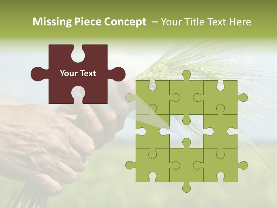 Food Keep Summer PowerPoint Template