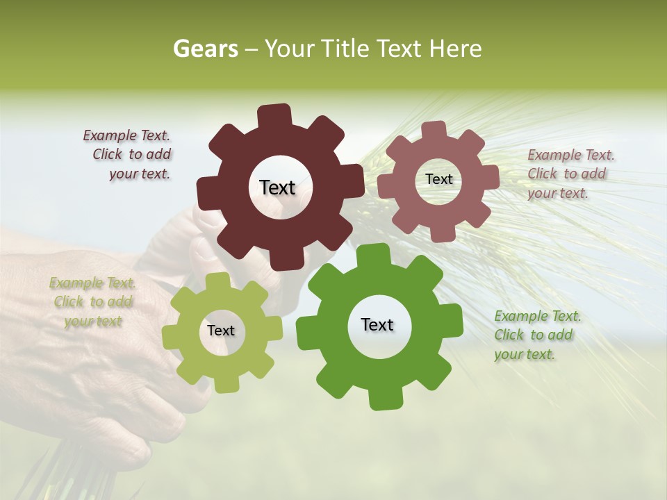 Food Keep Summer PowerPoint Template