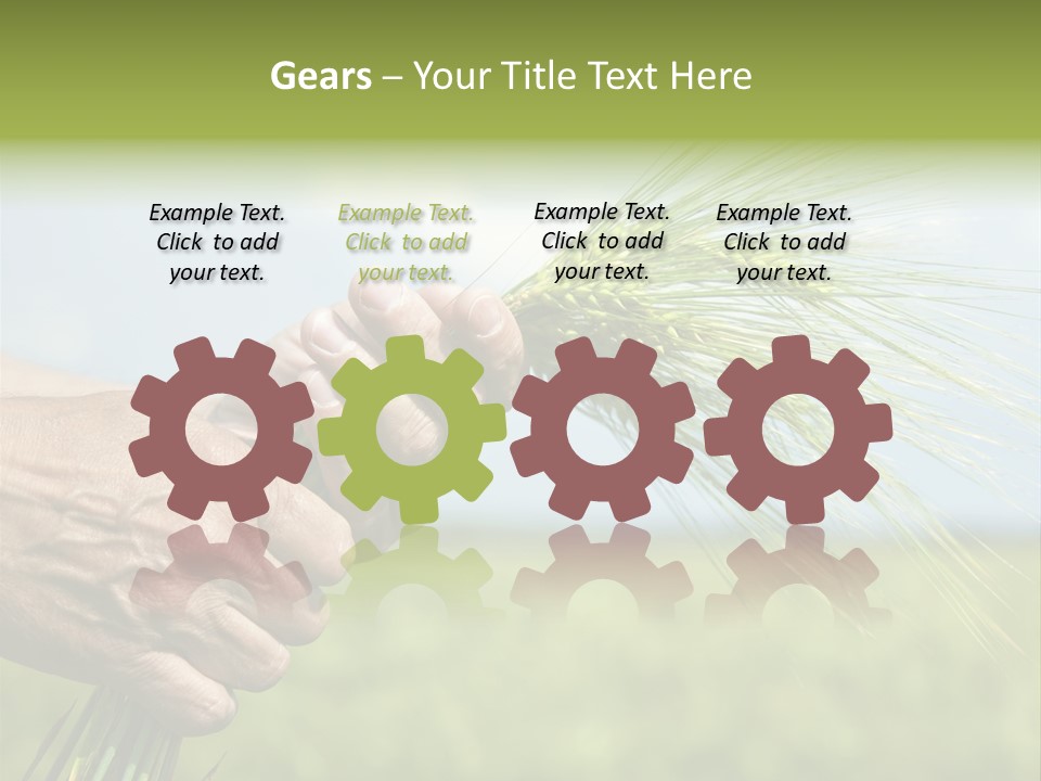 Food Keep Summer PowerPoint Template