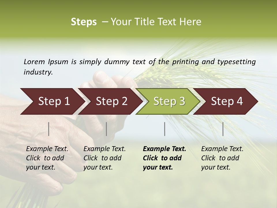 Food Keep Summer PowerPoint Template