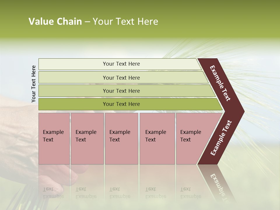 Food Keep Summer PowerPoint Template