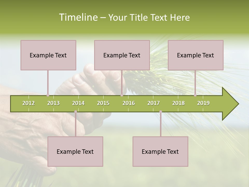 Food Keep Summer PowerPoint Template