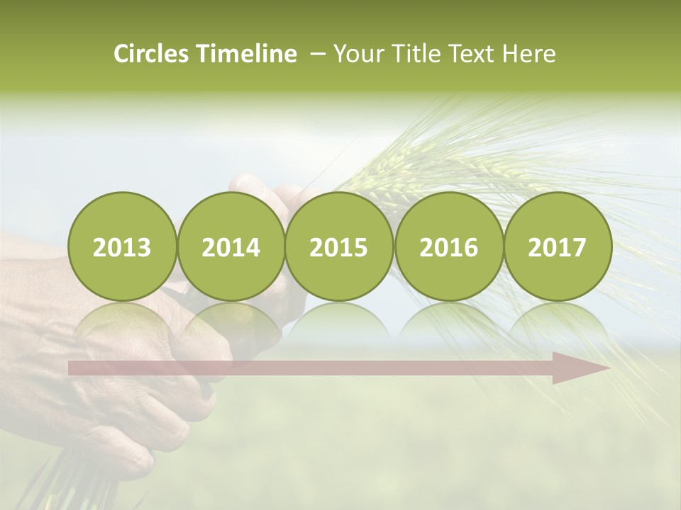 Food Keep Summer PowerPoint Template