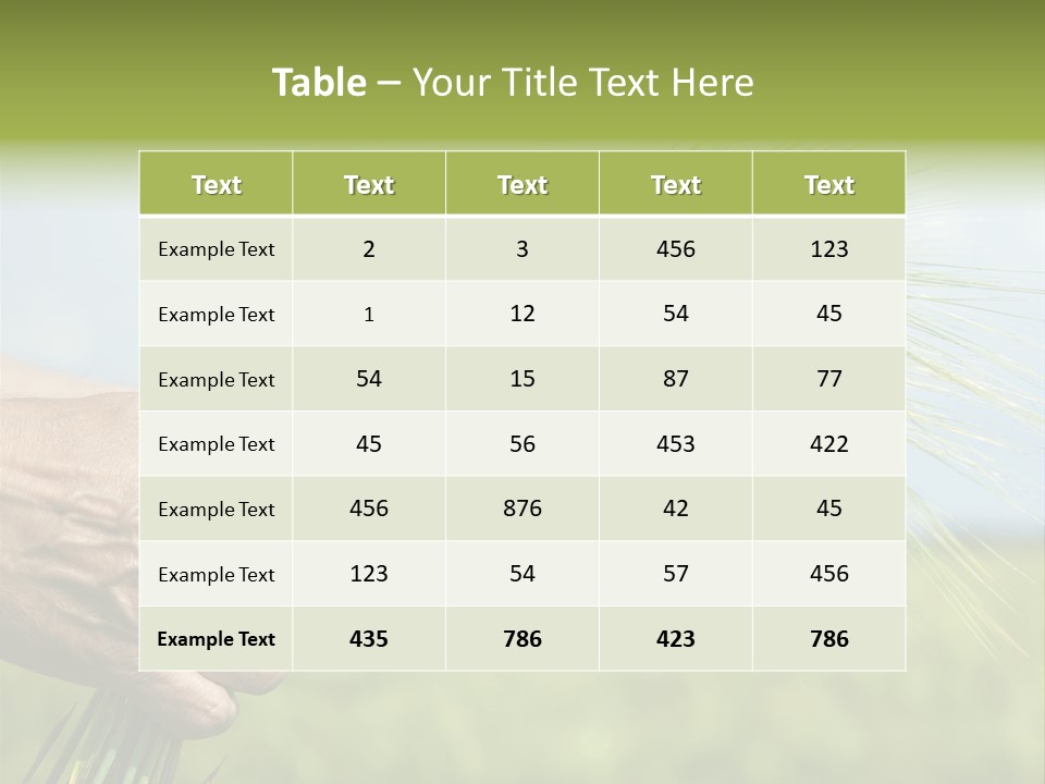 Food Keep Summer PowerPoint Template