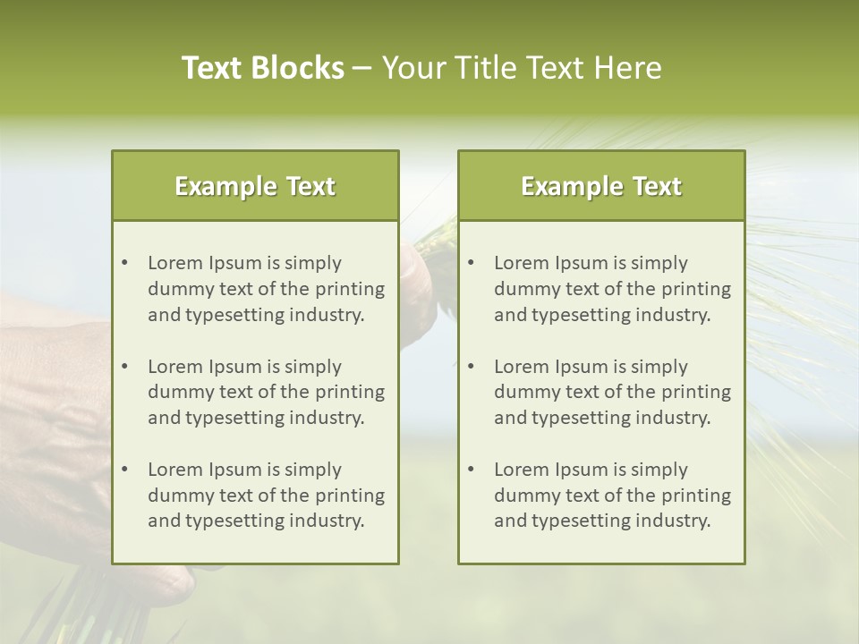 Food Keep Summer PowerPoint Template
