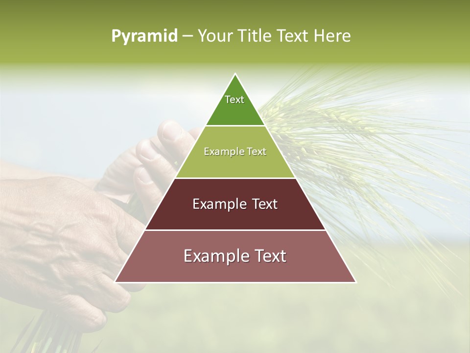 Food Keep Summer PowerPoint Template