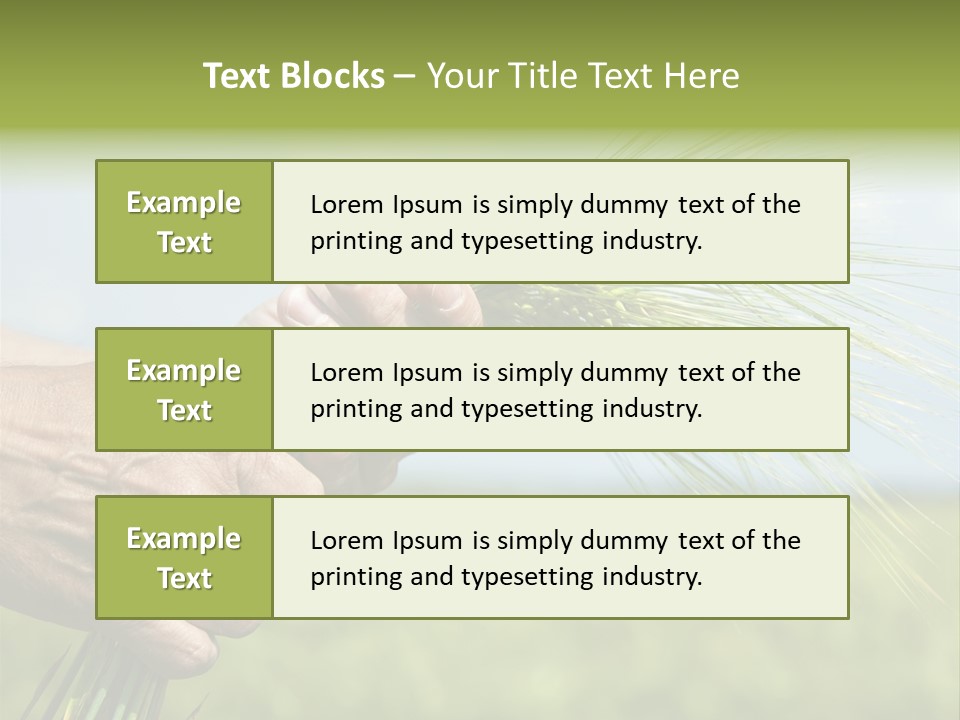 Food Keep Summer PowerPoint Template