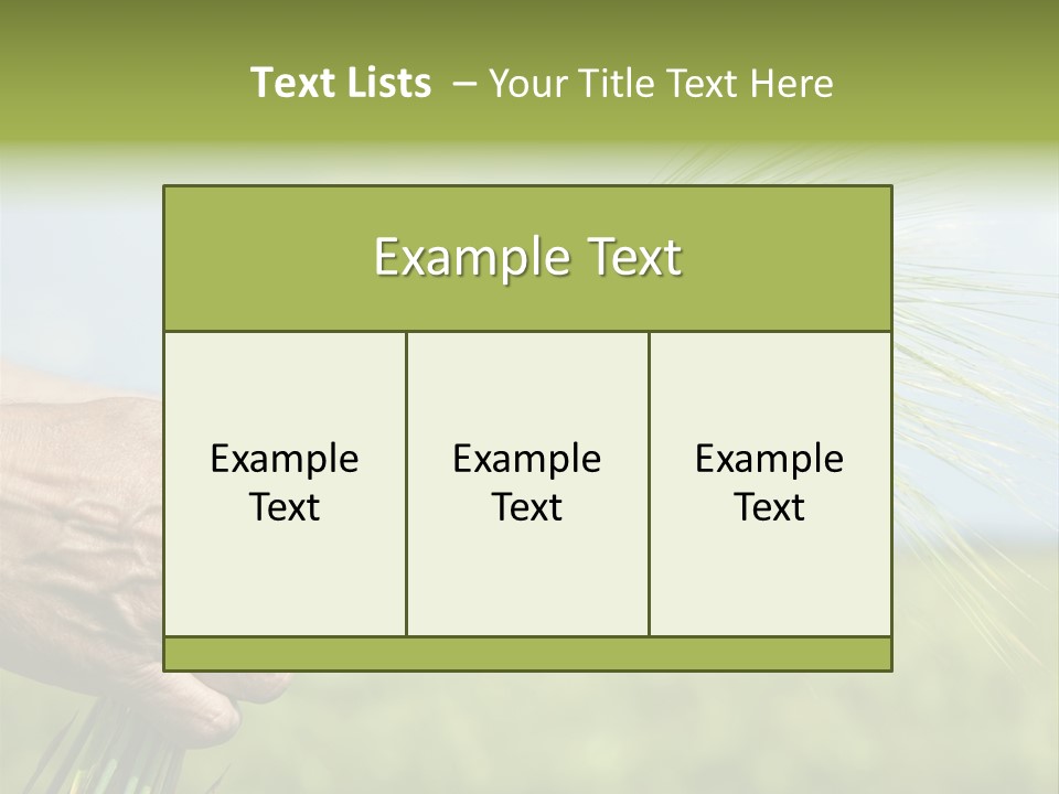 Food Keep Summer PowerPoint Template