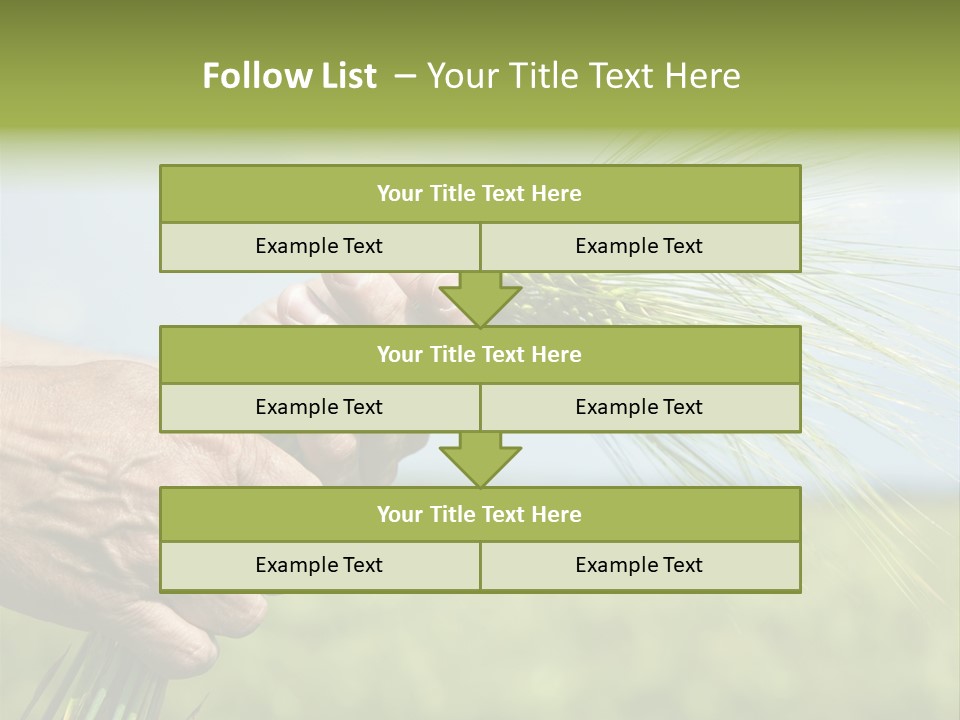 Food Keep Summer PowerPoint Template