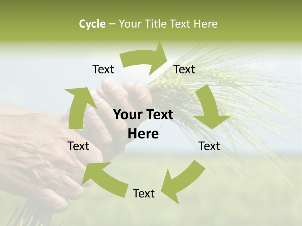 Food Keep Summer PowerPoint Template