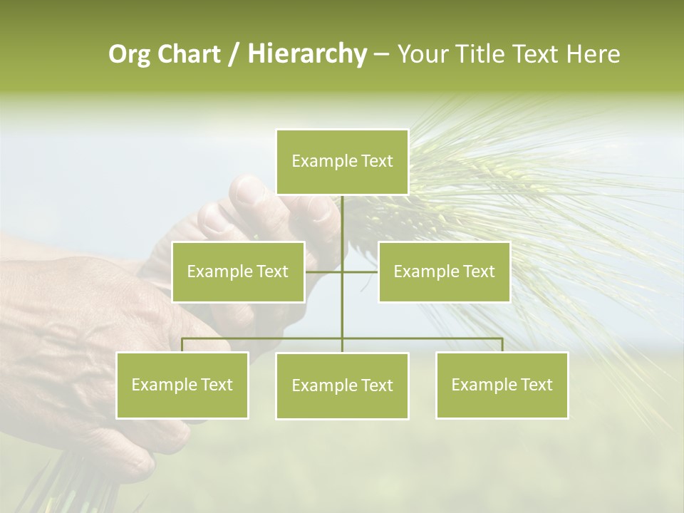 Food Keep Summer PowerPoint Template