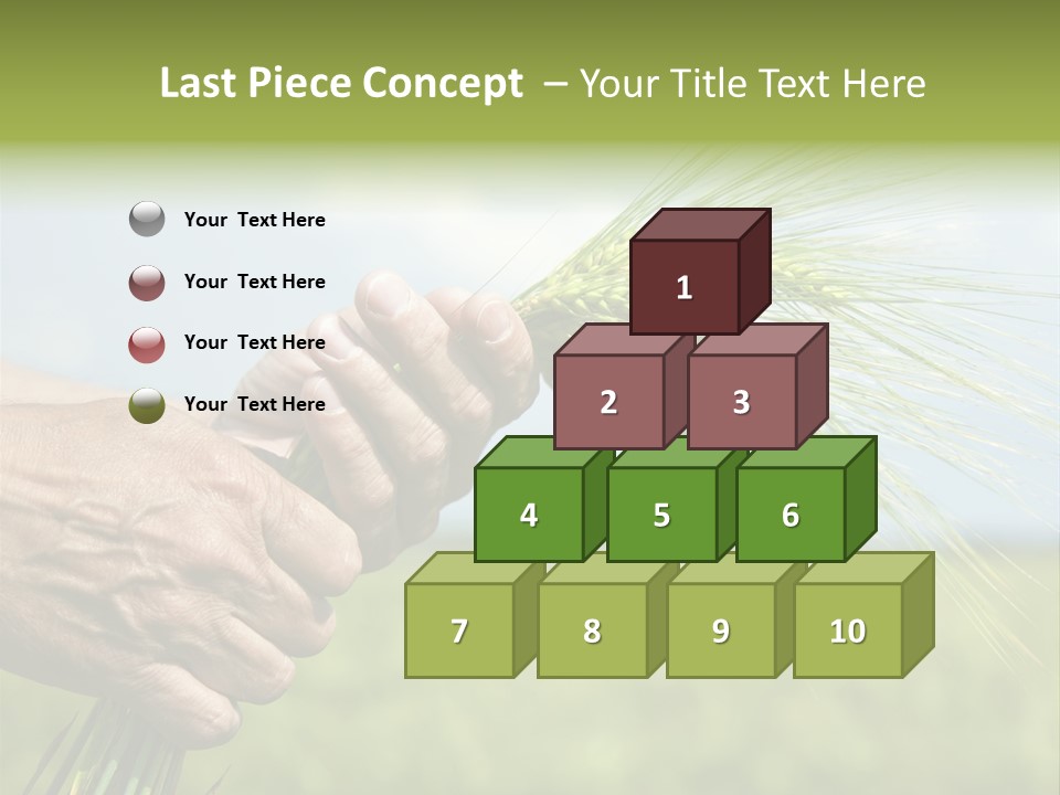 Food Keep Summer PowerPoint Template