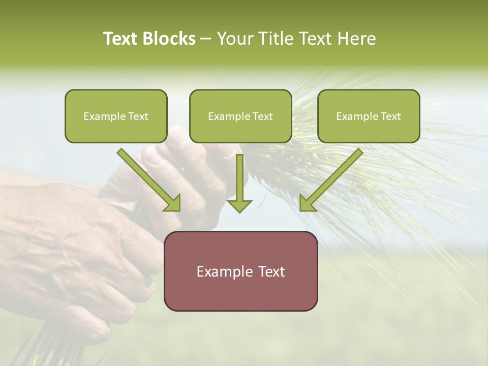 Food Keep Summer PowerPoint Template