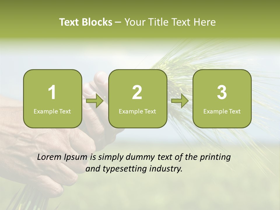 Food Keep Summer PowerPoint Template