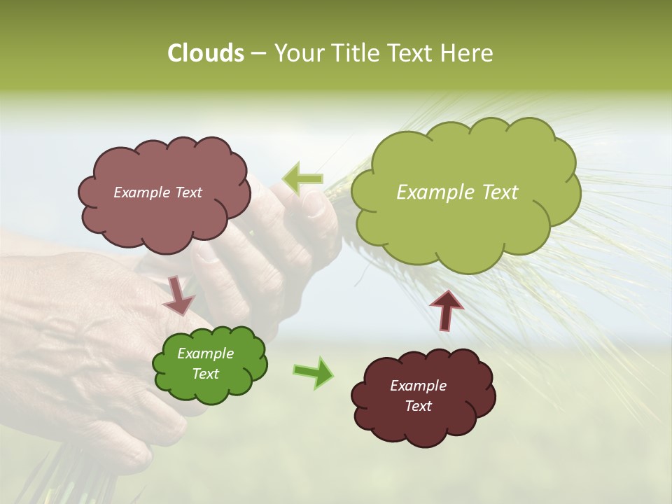 Food Keep Summer PowerPoint Template