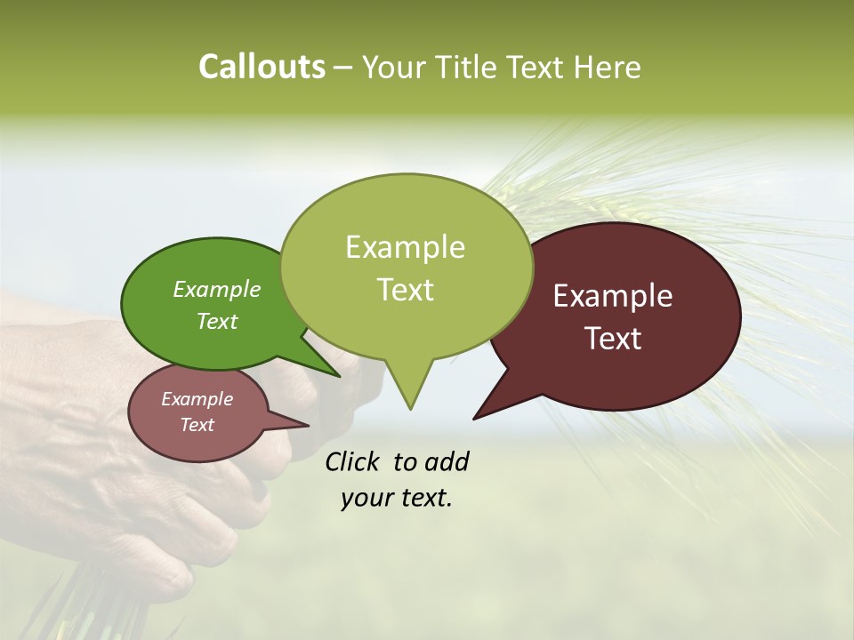 Food Keep Summer PowerPoint Template