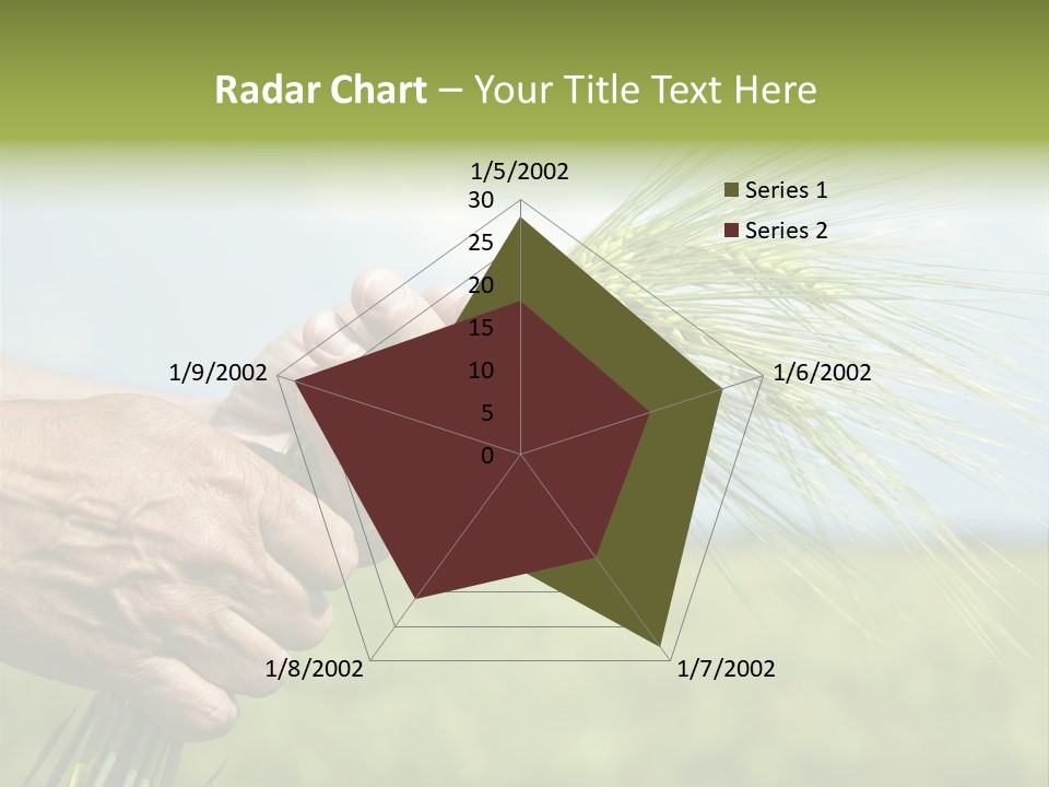 Food Keep Summer PowerPoint Template